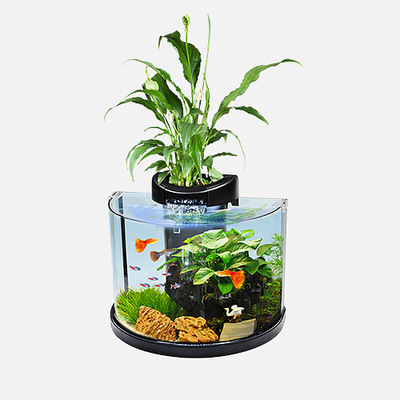 CLEAR MOON PERMIUM AQUARIUM