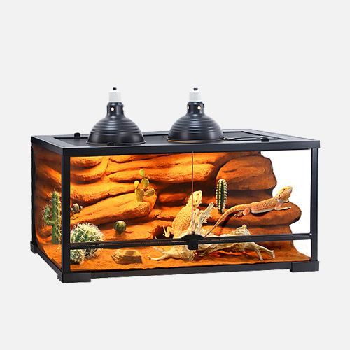 DESER TERRARIUM KIT