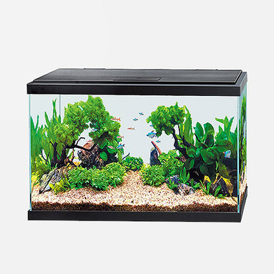 WONDER PALACE AQUARIUM