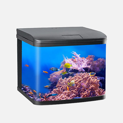 SIGHT AQUARIUM