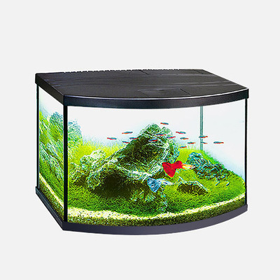 OASIS AQUARIUM