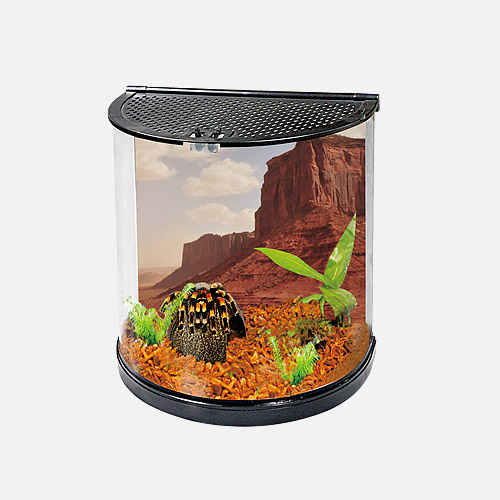 CRESCENT &nbsp;SHAPE &nbsp;TERRARIUM