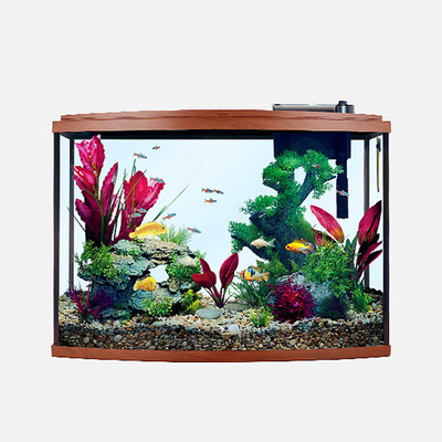 OASIS AQUARIUM