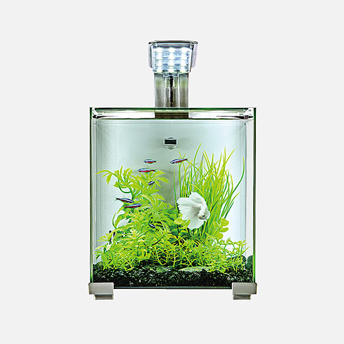 桌面型水族箱