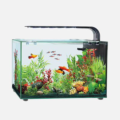AQUACLEAR DESKTOP TANK AC16