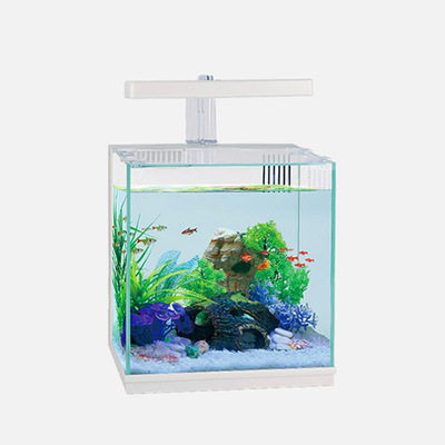 MINI ECO AQUARIUM
