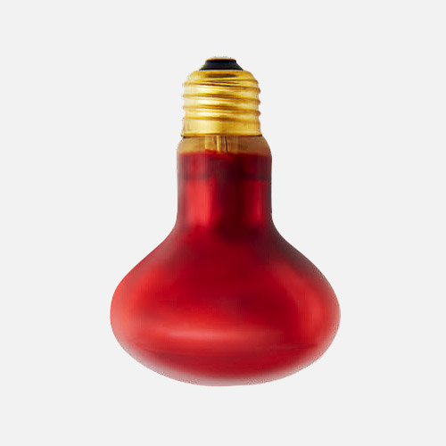 NOCTURNAL INFRARED SPOT BULB (INF)