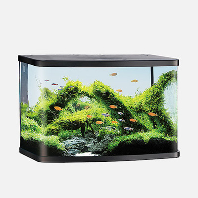 VISION AQUARIUM