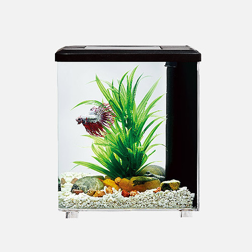 桌面型水族箱 (ACT08)